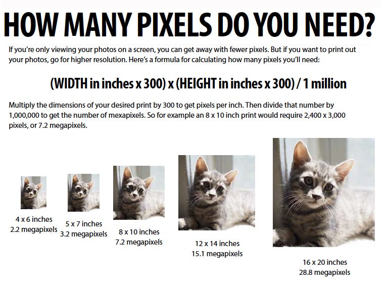 Megapixels To Megabytes Chart