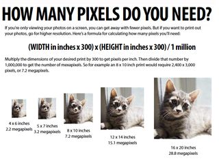 How many megapixels do you need?