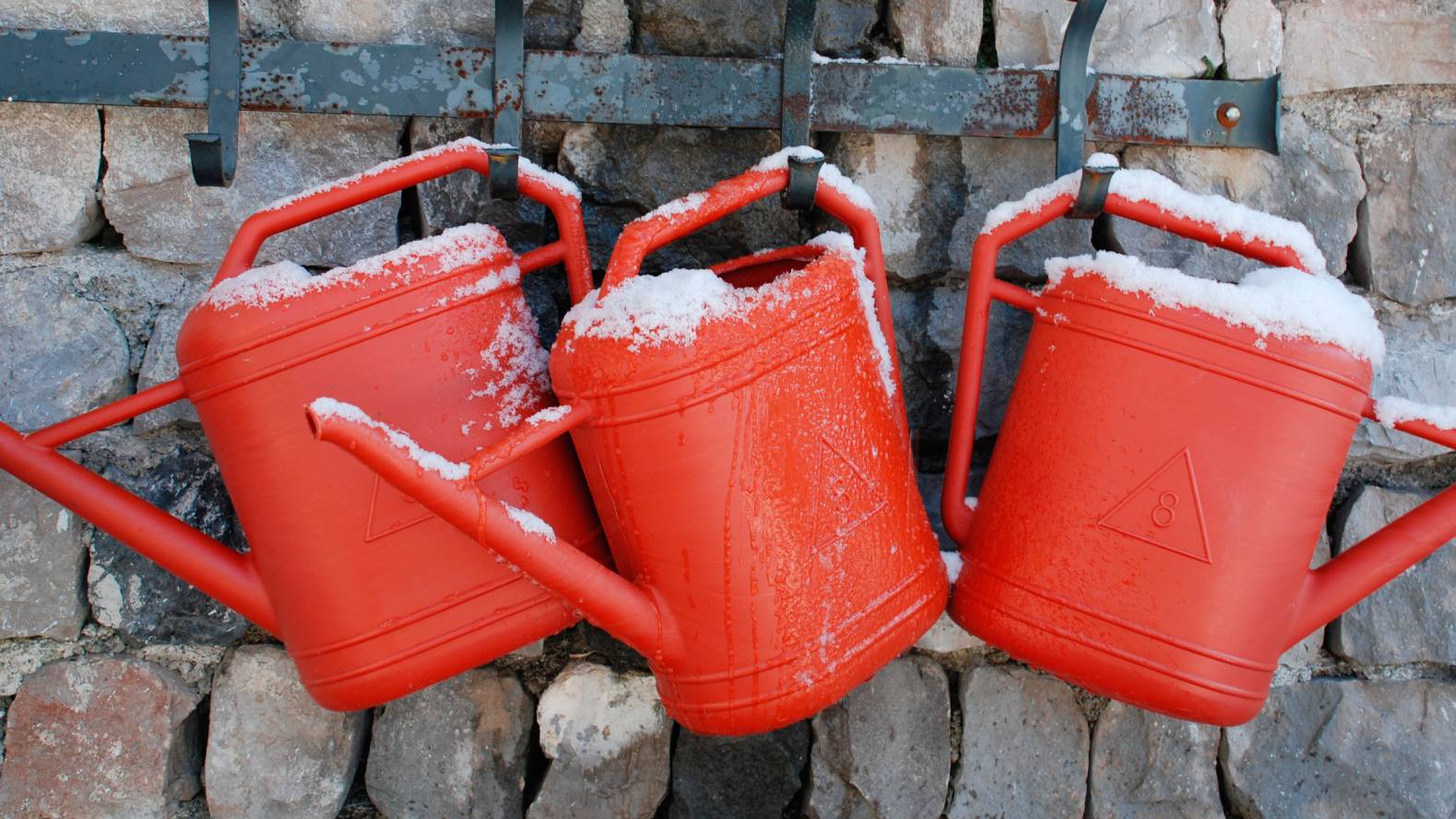 Three red watering cans covered in snow, hanging on a stone wall