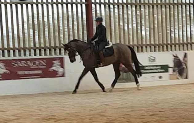 The Giant Bolster_1