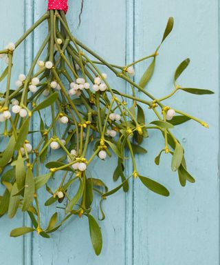 mistletoe hanging on a door