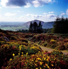 View from Slieve Gullion, Ring of Gullion, Northern Ireland.