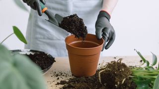 picture of gardener filling pot up with soil