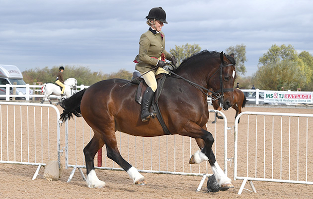 Heritage Show 13 10 2018
