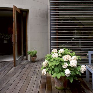 garden with wooden flooring and potted plant