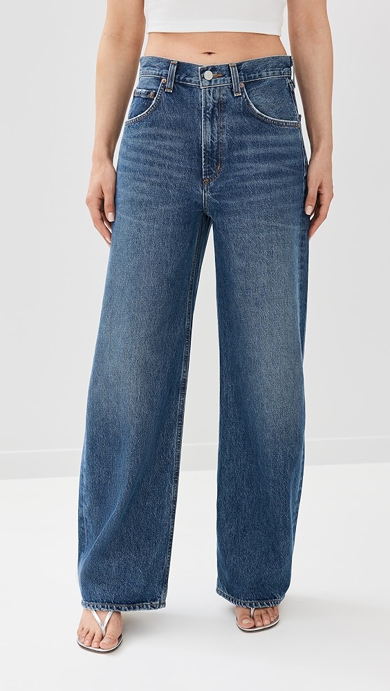 Agolde Low Curve Jeans