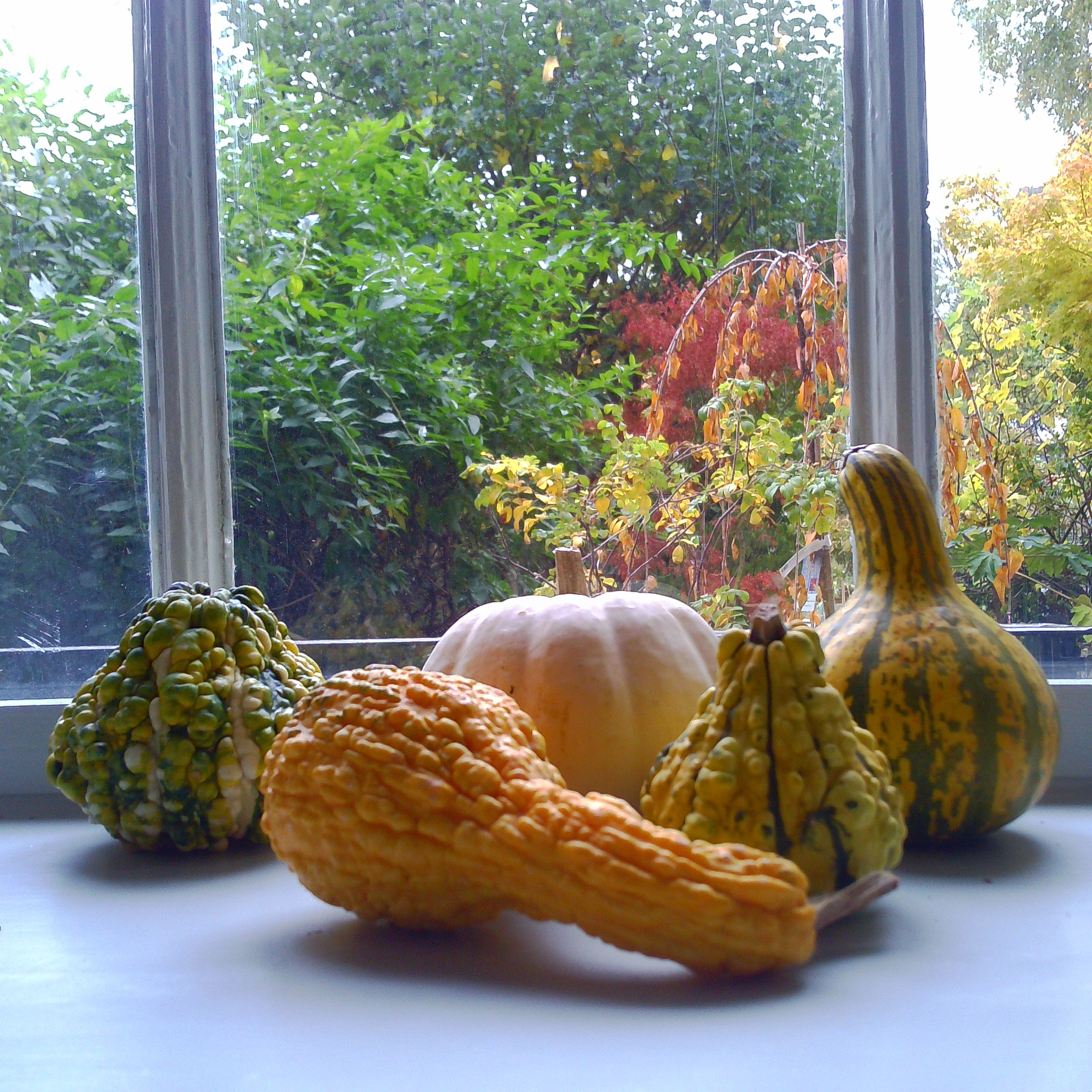 Chuzhao sample images