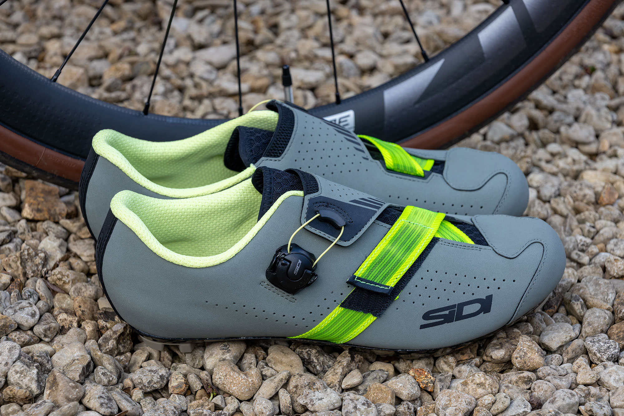 Sidi Aertis pictured side on