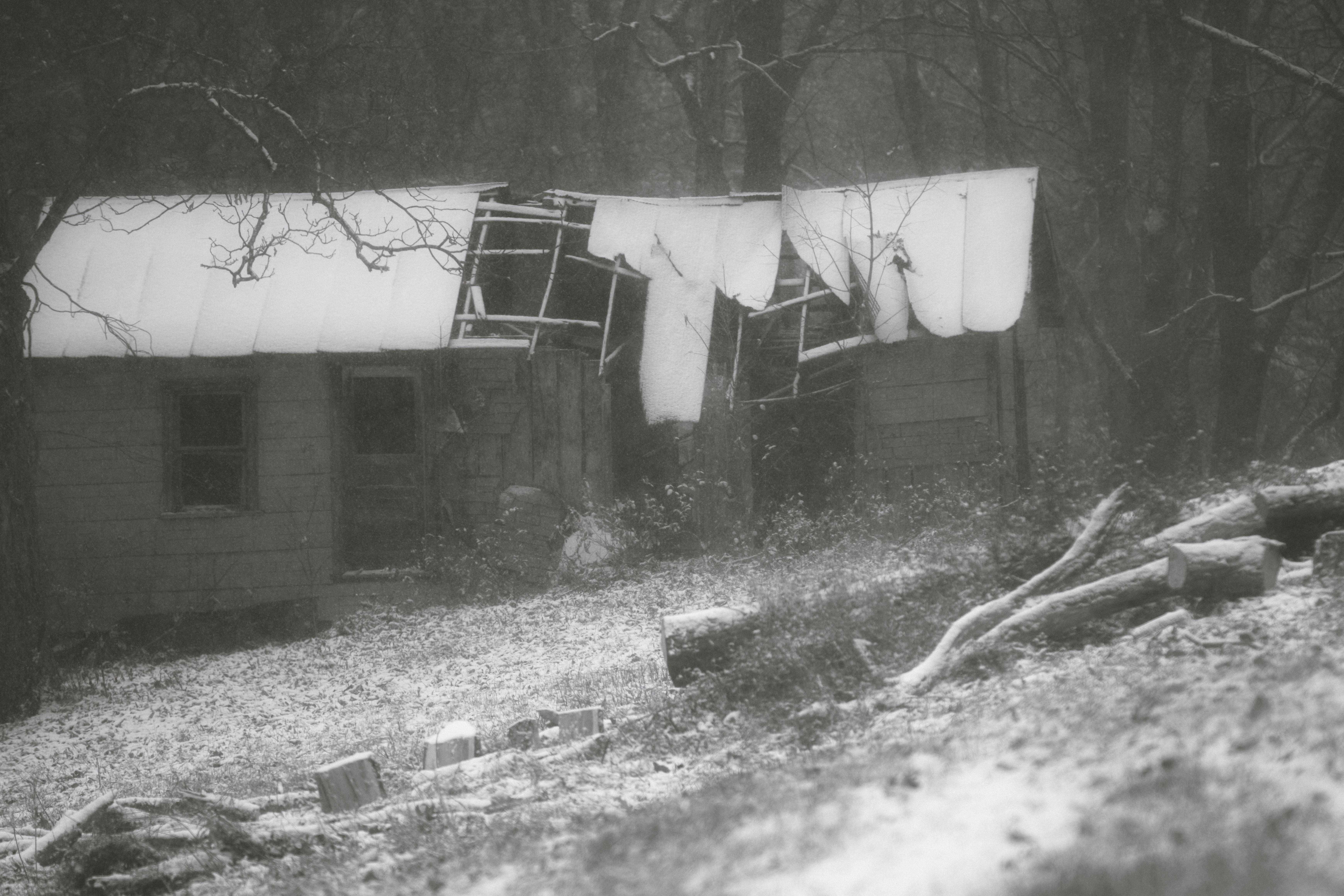 GuruShots - Powerful Black & White Jan 26