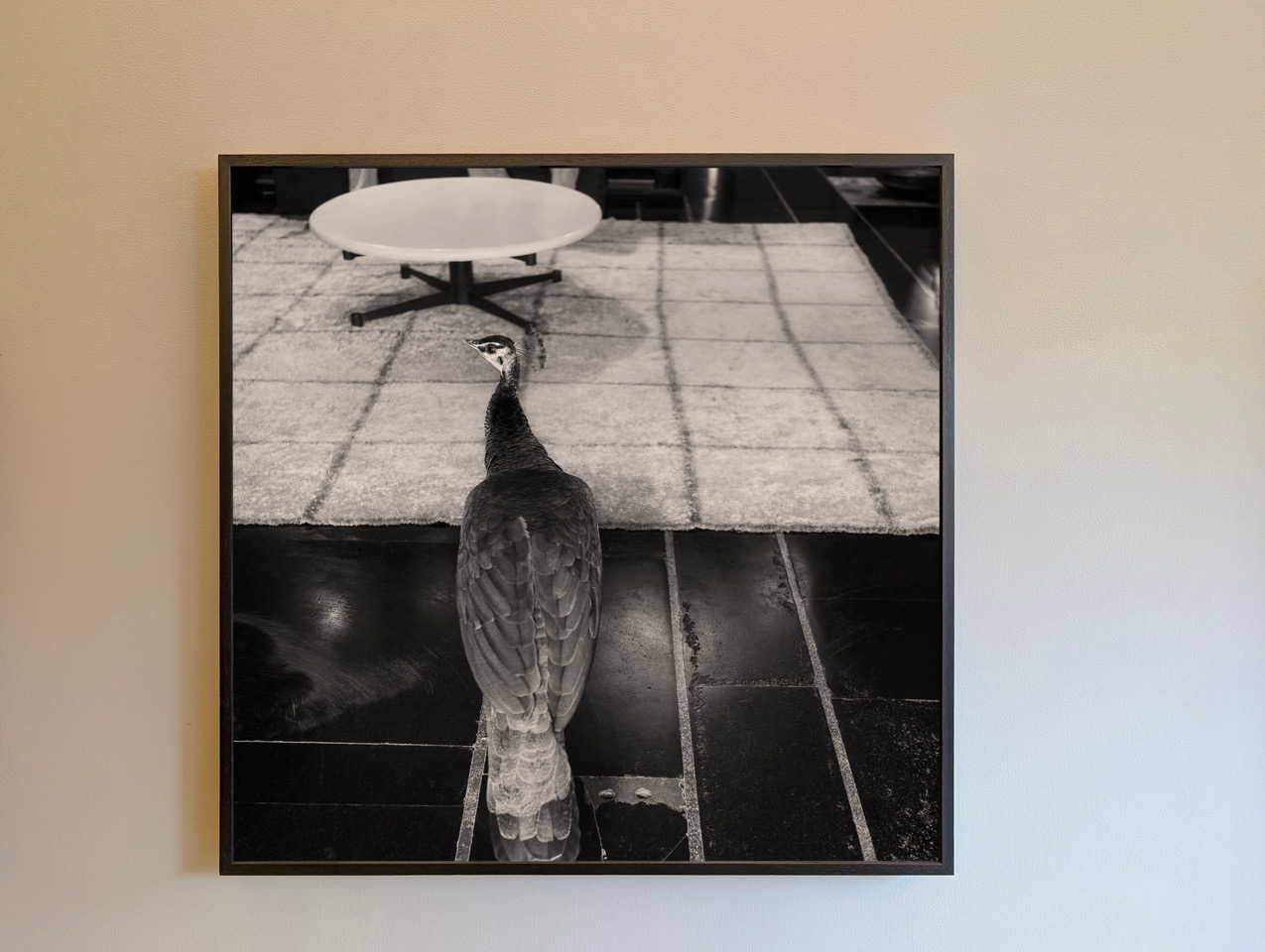 Dayanita Singh photograph of Balkrishna Doshi's home