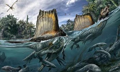 Enormous Spinosaurus was likely the first dinosaur to swim &mdash; 97 million years ago