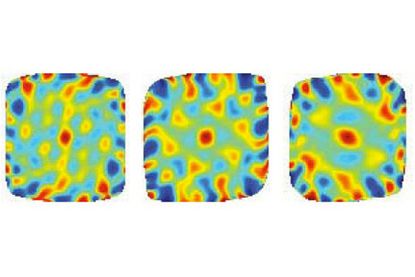 brain activity, electrical activity