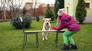 dog jumping table in back yard