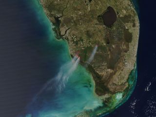 Florida's Wildfires Seen From Space