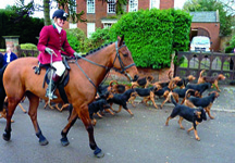 countryfile-hr.jpg