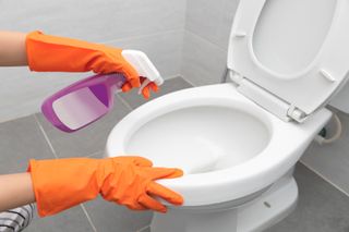 High Angle View Of Hand Cleaning Toilet - stock photo
