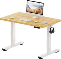 FlexiSpot One Piece standing desk