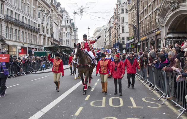 Midas Taking Everything In His Stride On The Parade. Photo by Jo Monck