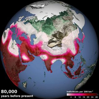 A computer model simulated human density 80,000 years ago, showing the arrival of humans in eastern China and southern Europe as well as migrations out of Africa along vegetated paths in Sinai and the Arabian Peninsula.