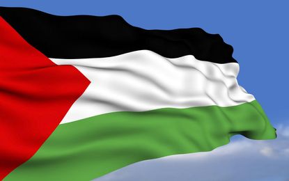 Sweden will recognize Palestinian statehood