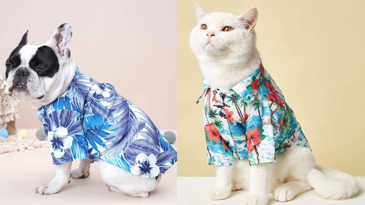 A dog and a cat wearing shein hawaiian shirts for pets