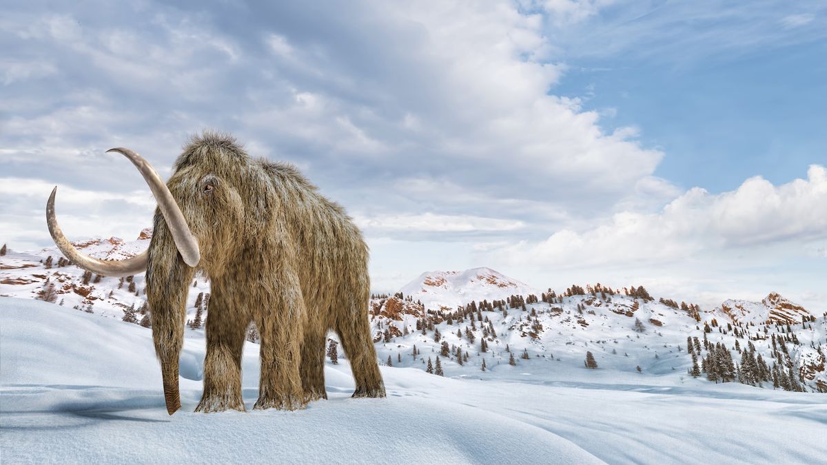 A rendering of a woolly mammoth walking through a snowy landscape