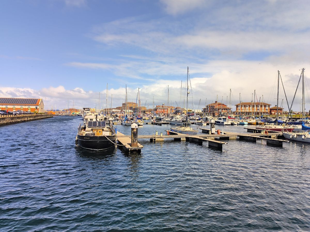 view of a marina with numerous sailboats and vessels moored at floating pontoon docks.