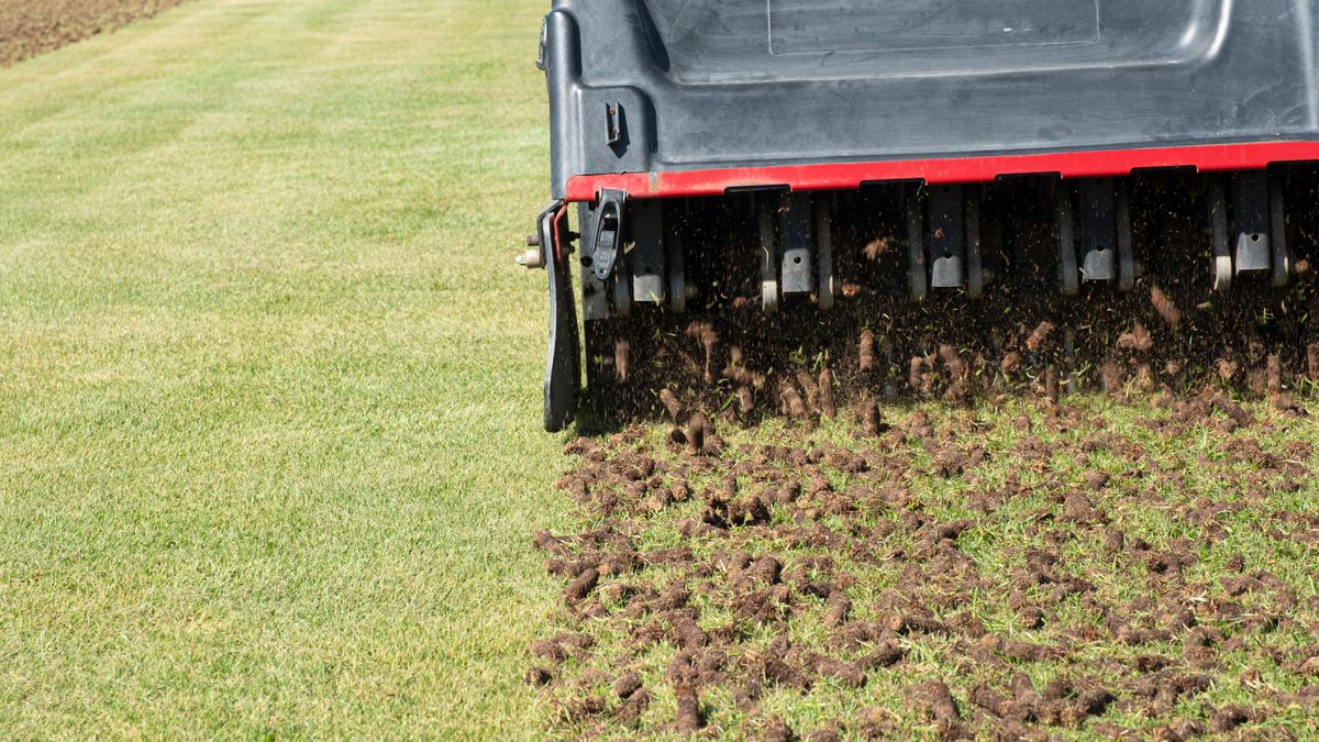 Should you roll your lawn? Here’s what the experts think Tom's Guide
