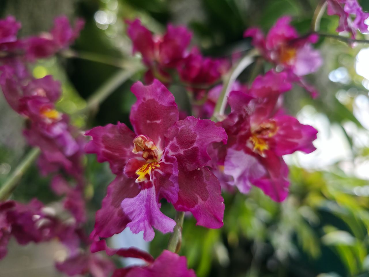 Samsung Galaxy S25 Ultra camera samples