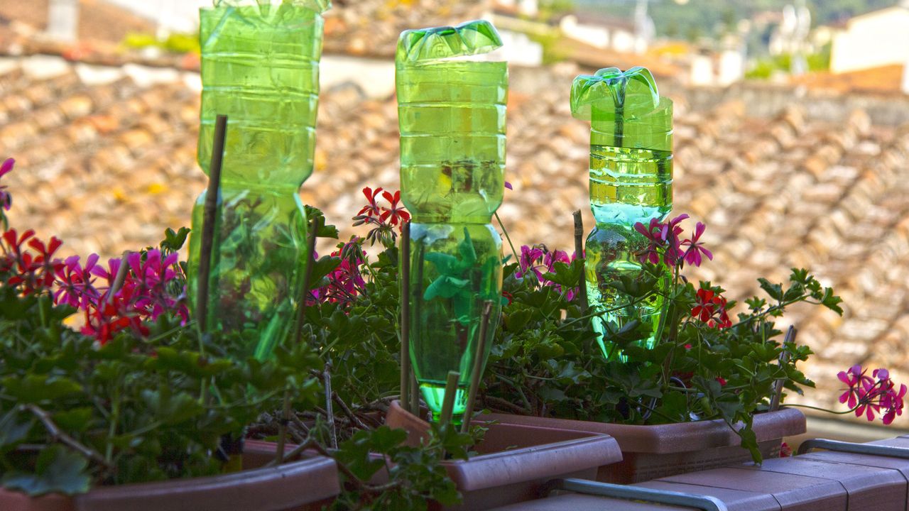 plastic bottles for watering flowers on the balcony as irrigation system