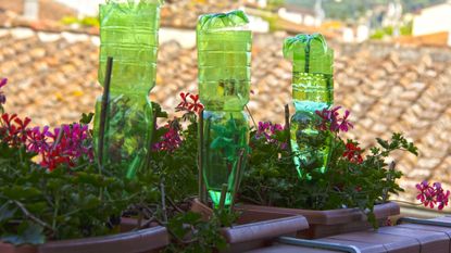 plastic bottles for watering flowers on the balcony as irrigation system