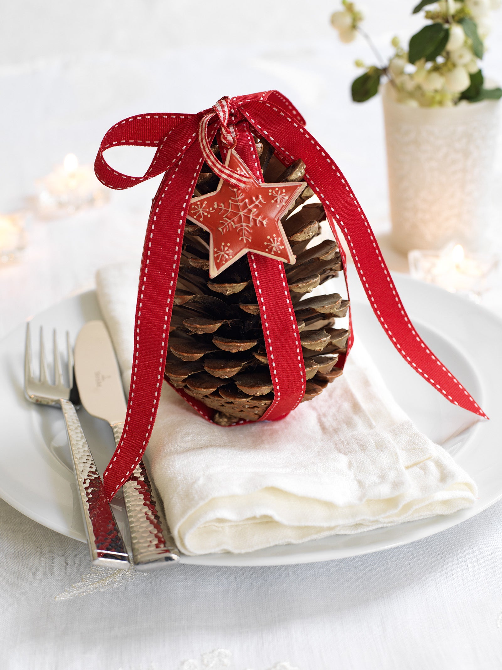 Pine cone place setting with red ribbon and tag