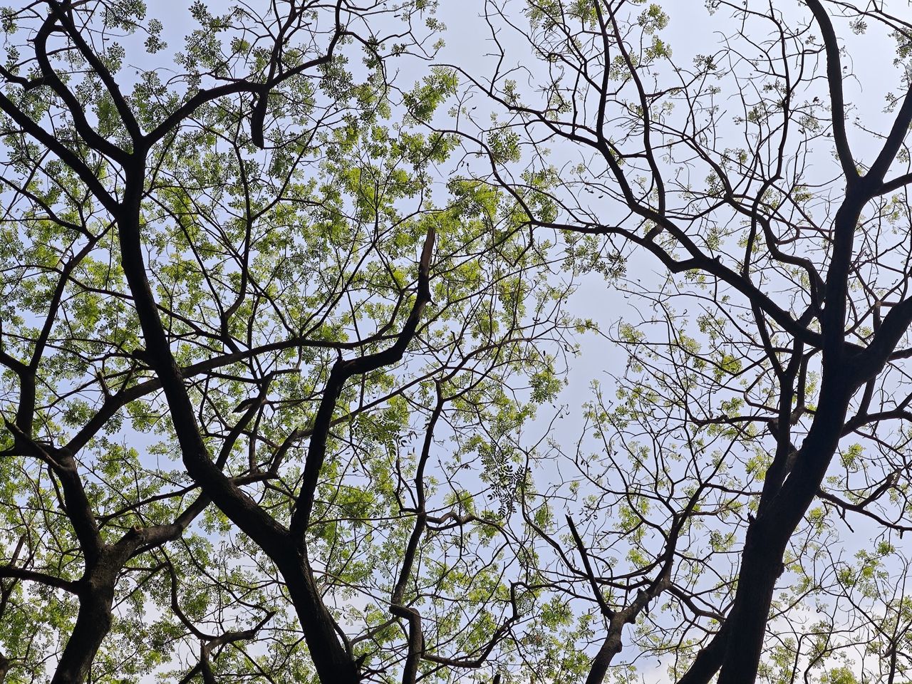 Xiaomi 14 camera shots