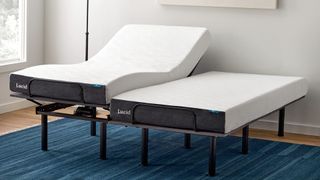 Two Twin XL Lucid Memory Foam Mattresses on an adjustable base to form a split king bed