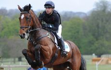 HorseNo325_Belton15pn_7686.jpg