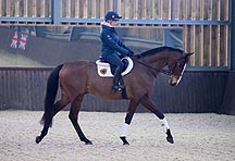 Kauto-Star1.jpg