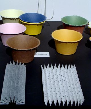 Colourful pots