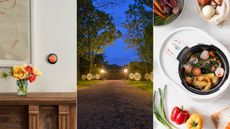 Smart thermostat, smart lights in front path, smart composter