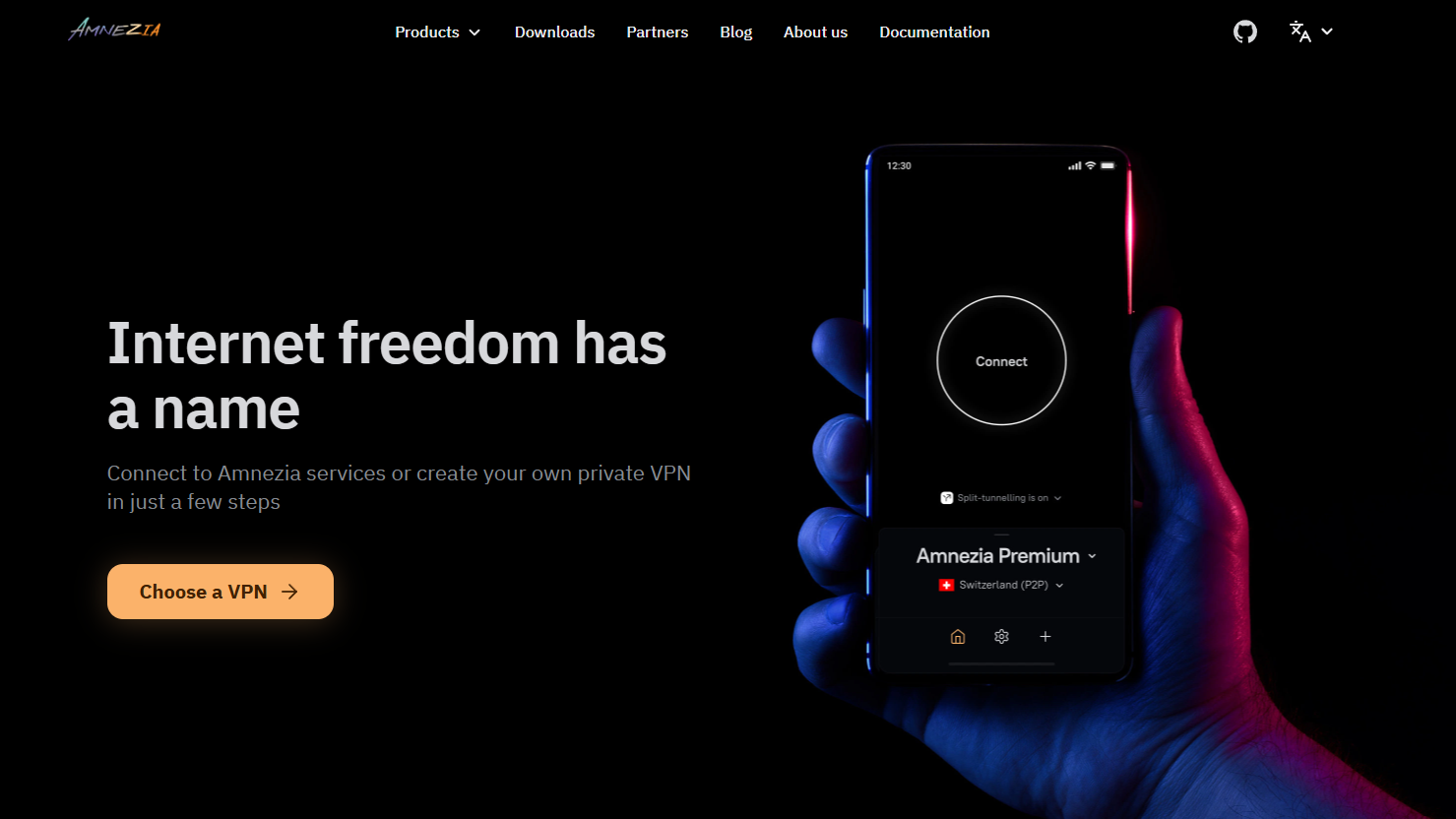 Screenshot of Amenzia VPN website