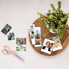 A selection of photo prints next to a plant and some scissors