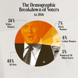 Graphic of the demographic breakdown of voters in 2016