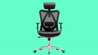 SIHOO Office Desk Chair