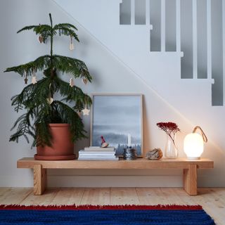white wall with wooden bench and mini potted tree