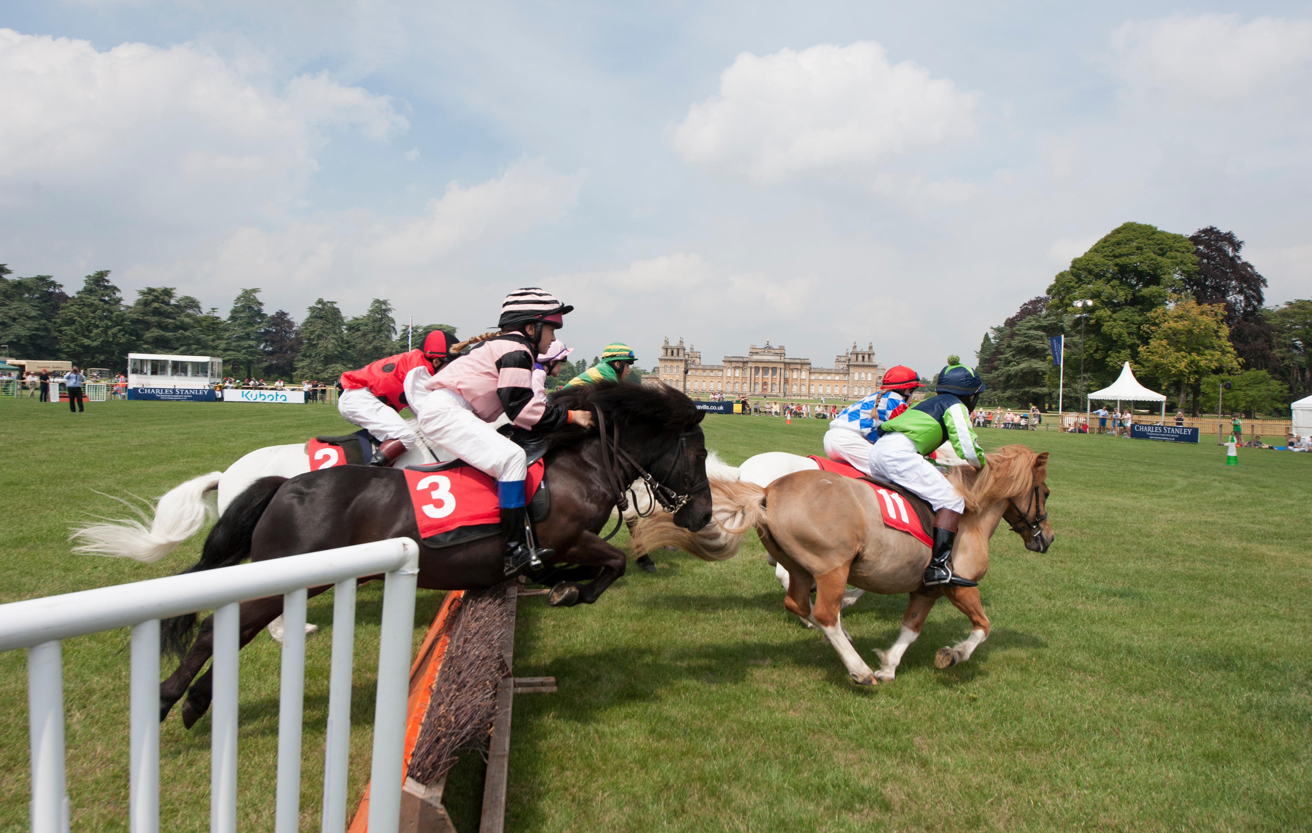 Not your average racecourse backdrop…