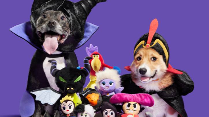BarkBox drops Disney and Harry Potter themed Halloween dog collection