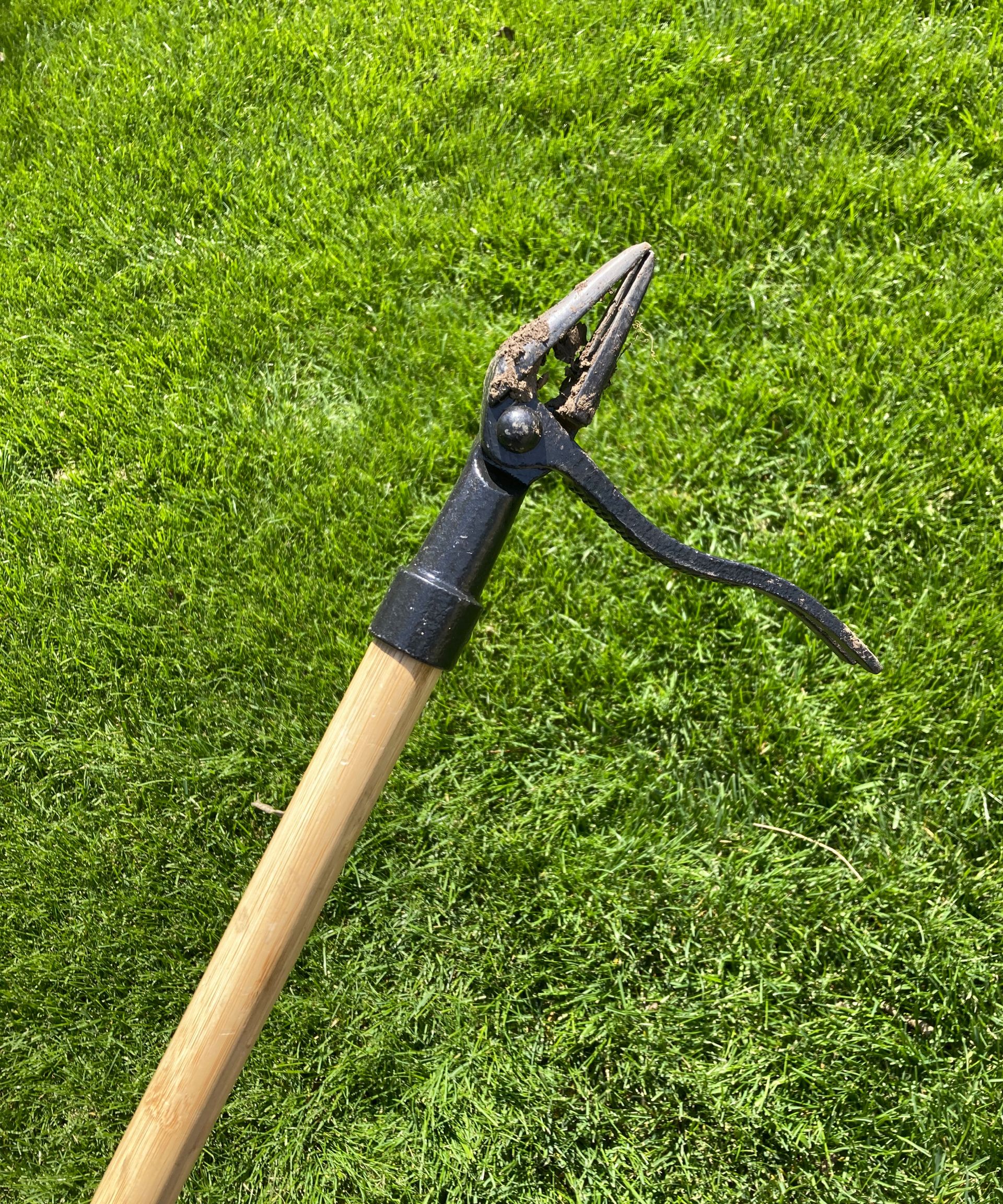 standup garden weeder in grass