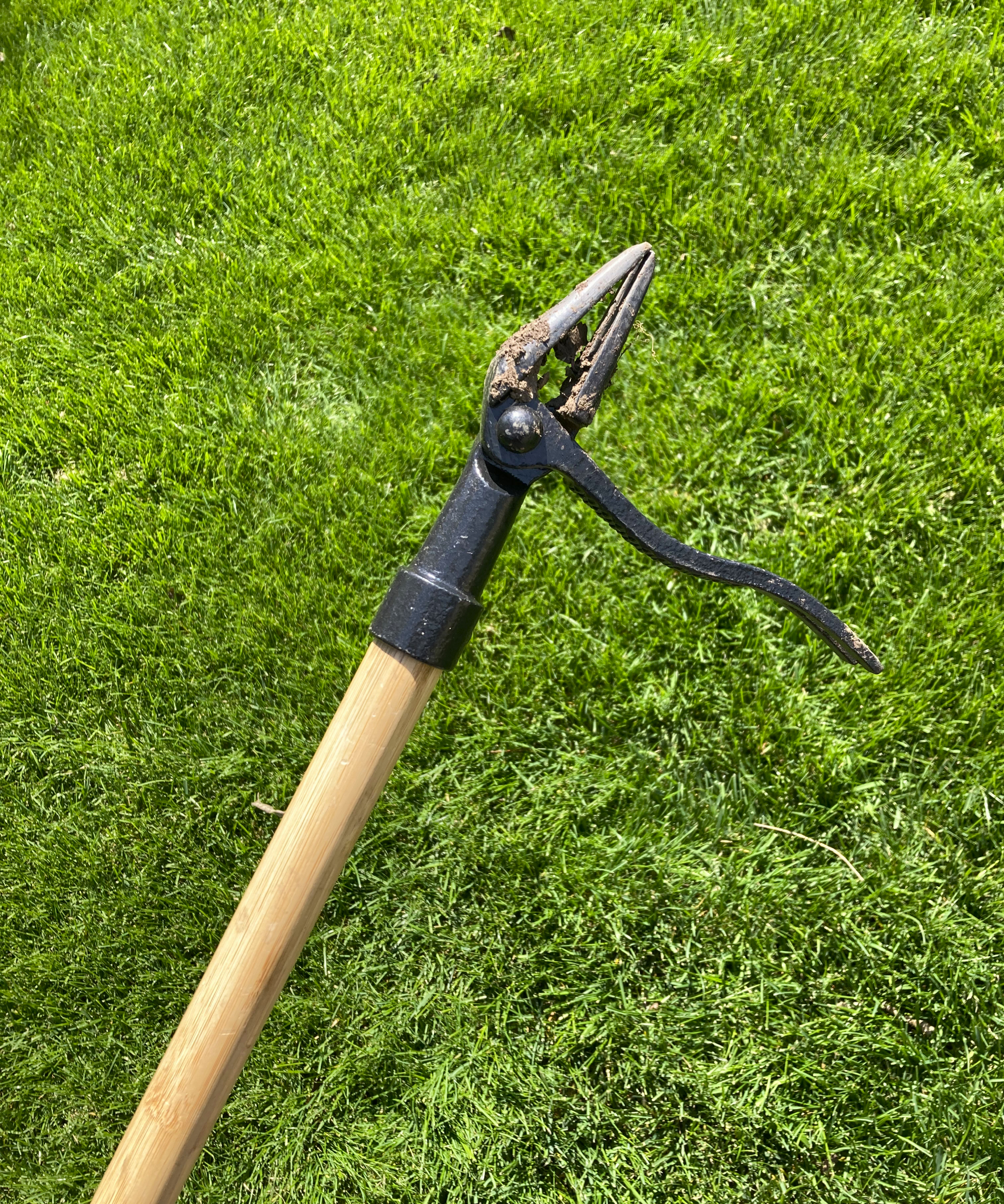 standup garden weeder in grass