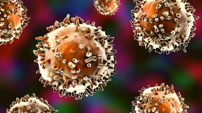 illustration of b cells