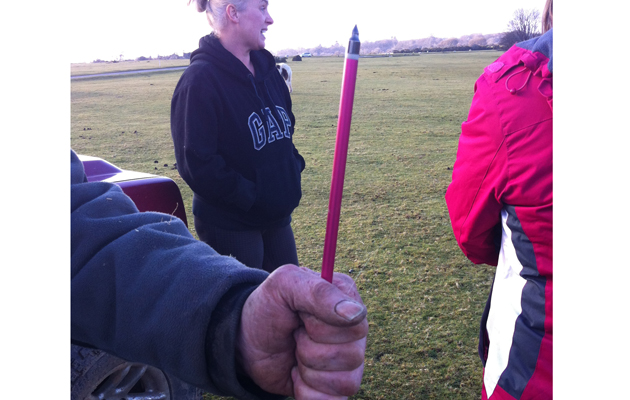 horse arrow
