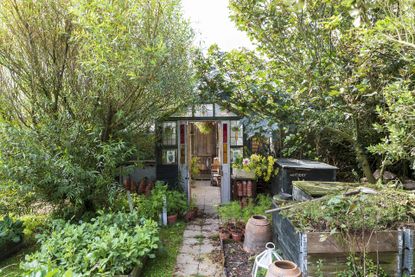 tarling greenhouse shed in flower garden